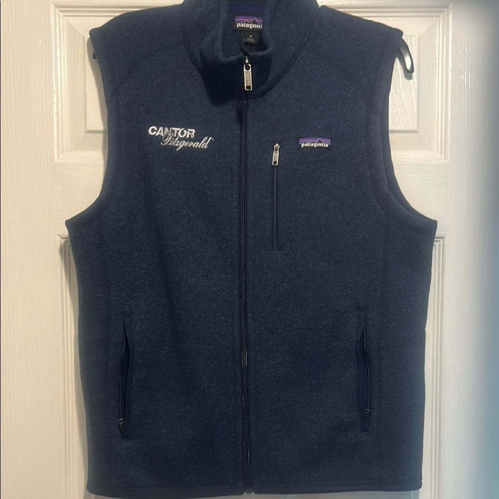 Patagonia Dark Blue Fleece Vest